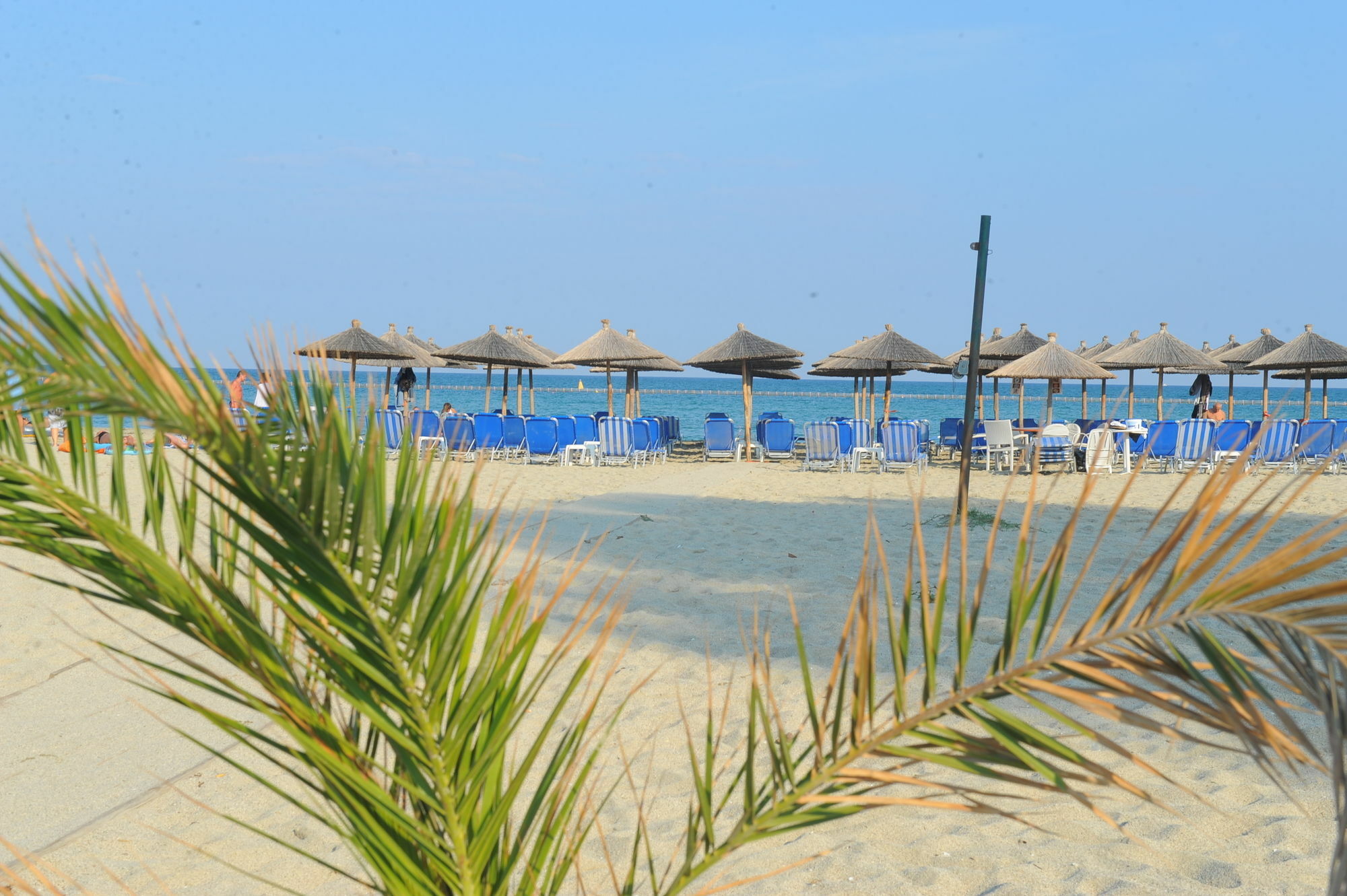 Hotel Platon Beach Олімпіакі-Акті Екстер'єр фото